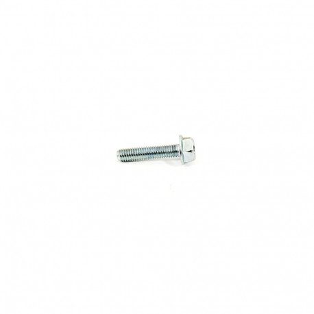 Vis MTD 710-04920 pour bobine d'allumage
