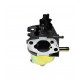 Carburateur MTD 793-00142