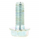 Vis Briggs Stratton 793480