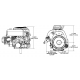 Moteur Briggs Stratton Powerbuilt Serie 3130 - 344 cc  - 10 HP