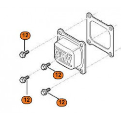 Vis de cache culbuteur EVC 200