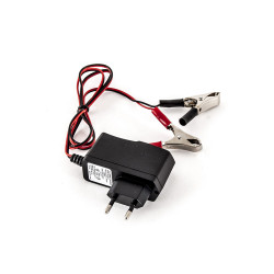 Chargeur de batterie tracteur MTD 725-04098