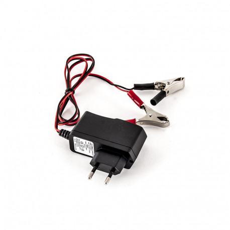 Chargeur de batterie tracteur MTD 725-04098