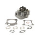 Culasse Briggs et Stratton 592175
