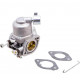 Carburateur Briggs et Stratton 597126