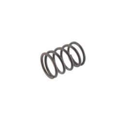 Ressort de soupape Briggs Stratton 691304