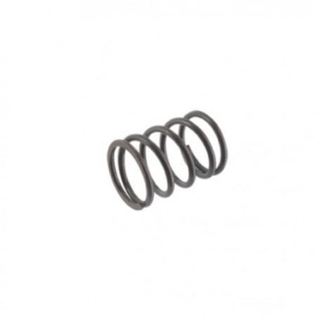 Ressort de soupape Briggs Stratton 691304
