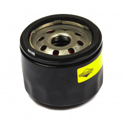 Filtre à huile Briggs and Stratton 842921 Filtre à huile Briggs and Stratton 842921