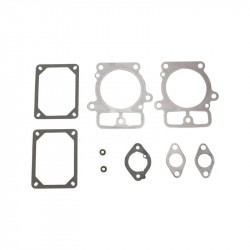 Jeu de joint de soupape Briggs Stratton 84001916