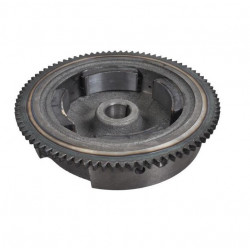 Volant moteur GGP 118550234/2 Volant moteur GGP 118550234/2