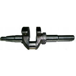 Vilebrequin pour moteur GGP WBE0704
