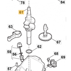 Vilebrequin pour moteur GGP RS100, RSC100, RSCT100