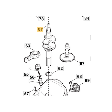 Vilebrequin pour moteur GGP RS100, RSC100, RSCT100 Vilebrequin pour moteur GGP RS100, RSC100, RSCT100