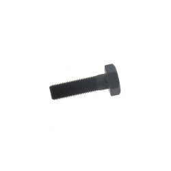 Vis de lame pour tondeuse Outils Wolf