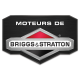 Moteur tondeuse débroussailleuse Briggs & Stratton 6 HP