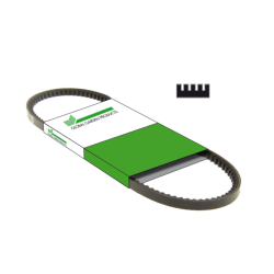 Courroie traction tondeuse Mac Allister MLMP 160H-53SP, MLMP 161 B&S-53SP