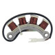 Alternateur pour MTD Mini Rider et Mini Rider 60