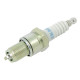 Bougie moteur Greatland TZ1P56F et DG1P70FA