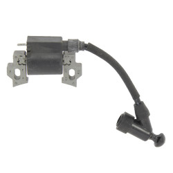 Bobine moteur Greatland TZ1P70FA, TZ1P65F, DG1P65F
