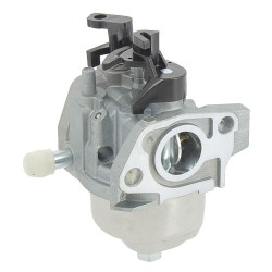 Carburateur moteur GGP TRE224