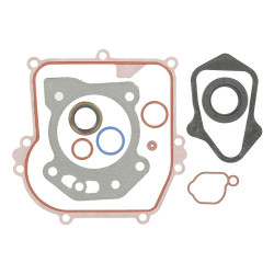 Jeu de joint Briggs Stratton 84001273
