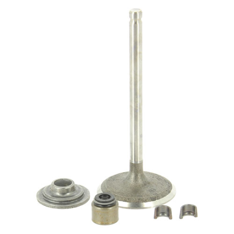 Soupape echappement moteur Briggs Stratton 84013513