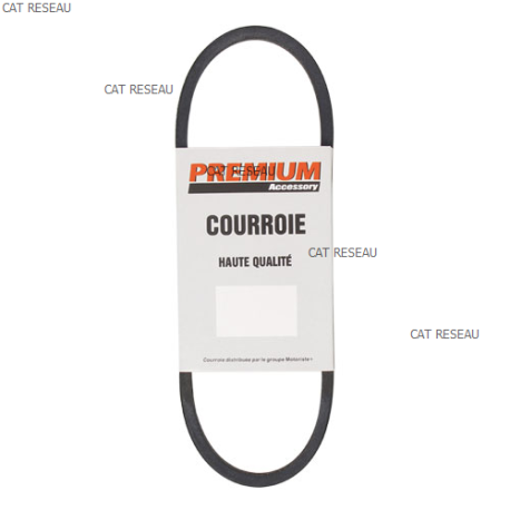 Courroie pour tondeuse Oléo Mac G 53 - 3047025R