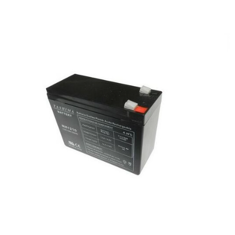 Kit batterie tondeuse Staub BBT361 1806024 