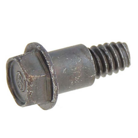 Vis carter courroie Mc Culloch M53-150 AP