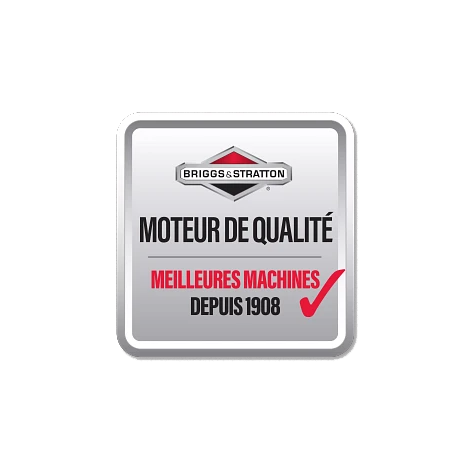 Logo Briggs and Stratton genuine